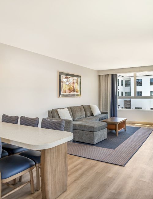 Bright modern living room with gray sofa, coffee table, dining set, framed art, and large windows with curtains.