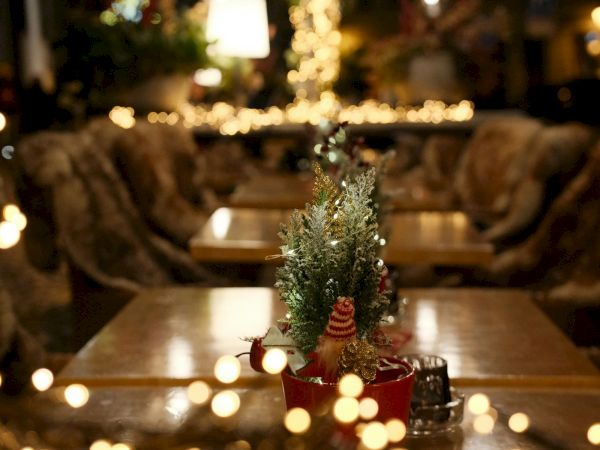 Cozy dining room with a Christmas tree and warm lights