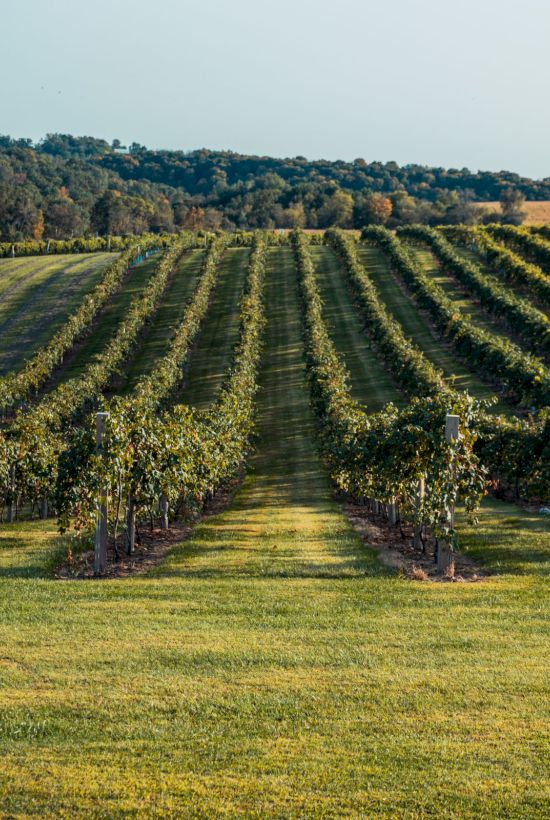 Cambria Hotel Templeton - Paso Robles