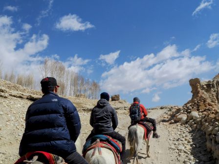 Group horseback riding along a dirt trail