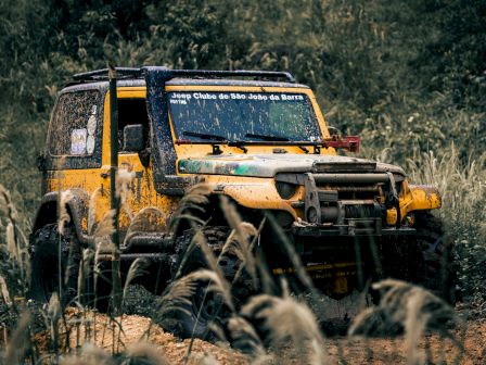 Off-road vehicle driving through tall grass on a guided tour
